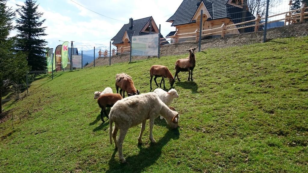 Gliczarów Willa Skorusyna Bed & Breakfast エクステリア 写真