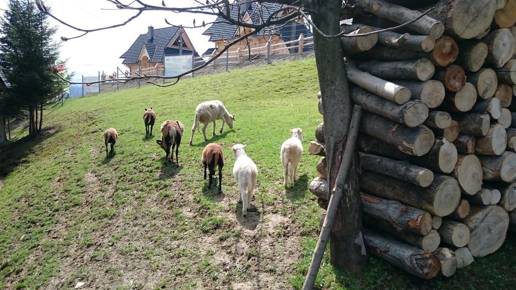 Gliczarów Willa Skorusyna Bed & Breakfast エクステリア 写真